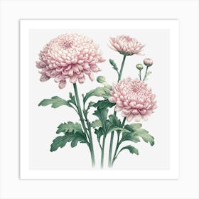 Chrysanthemum 1 Art Print