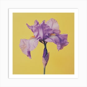 Purple Iris Flower Poster