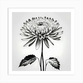 Chrysanthemum 7 Art Print