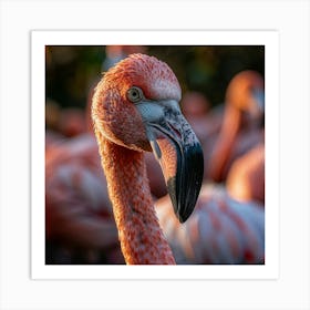 Flamingos 15 Art Print