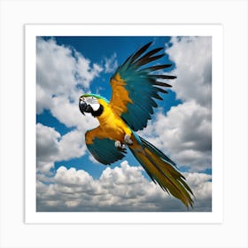 Parrot In Flight 1 Art Print