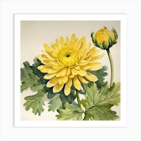 Yellow Chrysanthemum Art Print