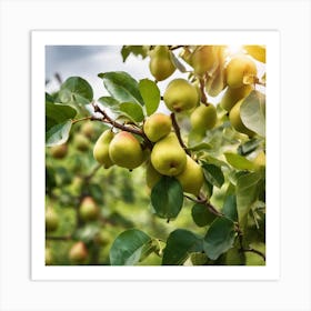 Pears On The Tree Art Print