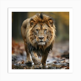 Lion Walking In The Forest 2 Art Print