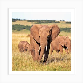 Elephants In The Savannah Art Print