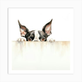 Boston Terrier Terrier Art Print