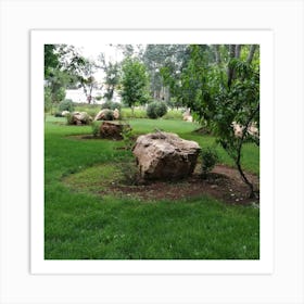 Rock Garden Art Print