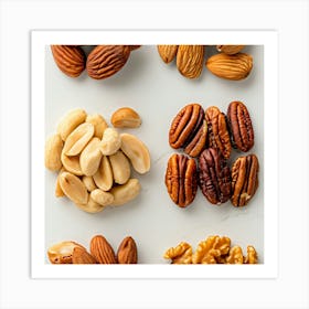 Selection Of Nuts Art Print