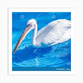 Pelican beach Art Print