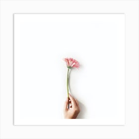 Hand Holding A Flower Art Print