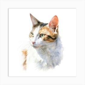 Oriental Bicolour Cat Portrait 2 Art Print