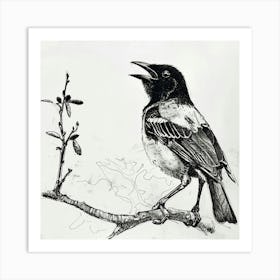 Bird On A Branch 2 Art Print