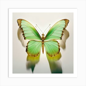 Butterfly 2 Art Print