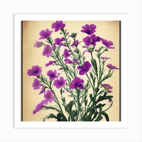 Flax3 Floral Botanical Vintage Poster Flower Art Print Purple Flowers Art Print