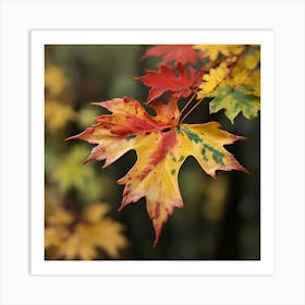 A red maple leaf 1 Art Print