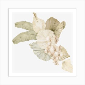 White Orchids Art Print