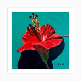 Red Hibiscus Art Print