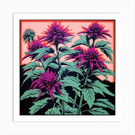 Bee Balm 3 Pop Art Illustration Square Art Print