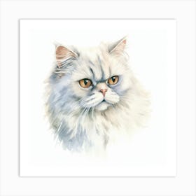 Colorpoint Shorthair Persian Cat Portrait 2 Art Print