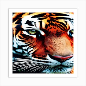 Tiger Art Print