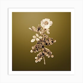 Gold Botanical Macartney Rose on Dune Yellow n.0320 Art Print