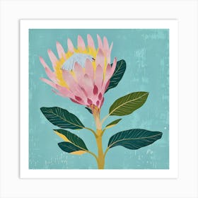 Protea 1 Square Flower Illustration Art Print