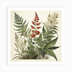 Painted Fern Wildflower Vintage Botanical Art Print 0 Art Print