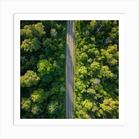 Aerial Photography Captures The Lush Expanse Of A Green Forest In The Height Of Spring Interplay Of Art Print