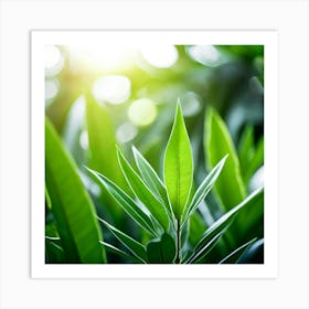 Ecology Plant Green Nature Garden Flora Fresh Leaf Summer Natural Environment Spring Gra (7) Art Print