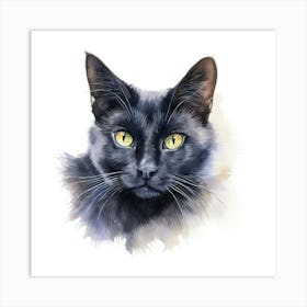 Russian Black Cat Portrait 1 Art Print