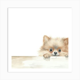 Pomeranian Dog On A White Background Art Print