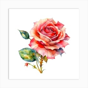 Watercolor Rose Art Print