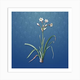 Vintage Crytanthus Vittatus Botanical on Bahama Blue Pattern n.0757 Art Print