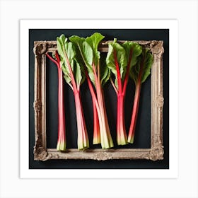 Rhubarb As A Frame (47) Art Print