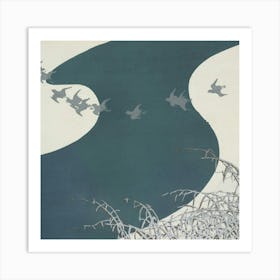 Birds Flying Over A River Art Print