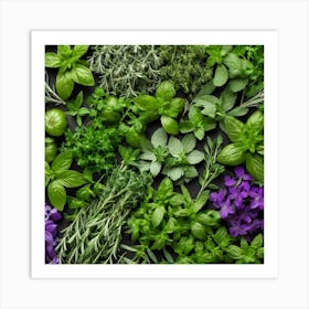 Fresh Herbs On A Black Background 3 Art Print