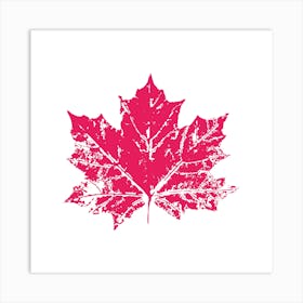 Pink Maple Leaf Art Print