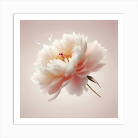 Peony 5 Art Print