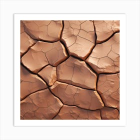 Cracked Earth 1 Art Print