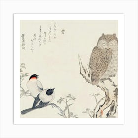 'Two Birds And An Owl' Art Print