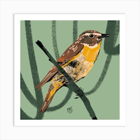 Bird Braunkelchen Art Print