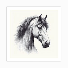 Horse Head Drawing 1 Art Print