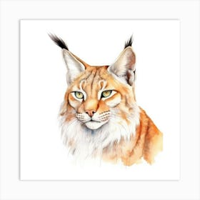Balkan Lynx Cat Portrait 3 Art Print