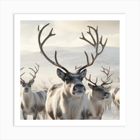 Reindeer Herd Art Print