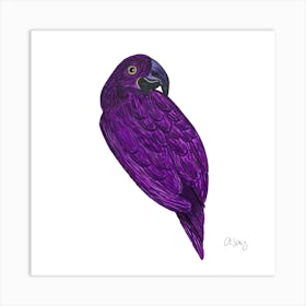 Purple Parakeet 2 Art Print
