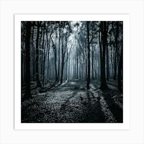 Firefly Noir Forest A Monochromatic Look With High Contrast And Deep Shadows 1 Affiche