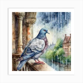 Pigeon In Rain Art Print