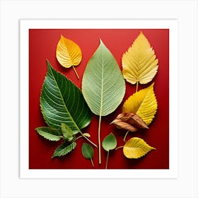 Autumn Leaves, Different Types Of Leaves And Their Textures art print 1 Art Print