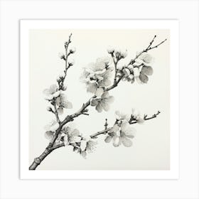 Ink Cherry Blossoms Branches 1 Art Print