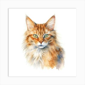 Somali Cat Portrait 1 Art Print